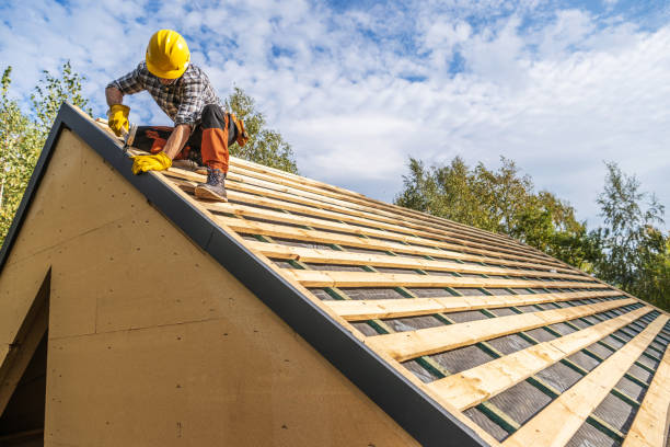 Best Storm Damage Roof Repair  in Ardmore, AL